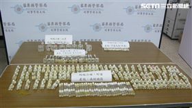 野蠻、針毛、紅黑…防檢局、刑事局破獲走私螞蟻　查扣千餘隻