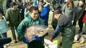 （圖／中央社）