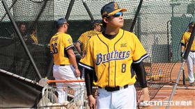 中信兄弟守備教練黃泰龍（圖／記者王怡翔攝）