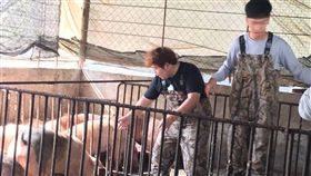 圖／翻攝自山豬臉書