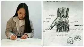 16:9
正妹學霸手繪人體解剖圖　網友驚：功課好要會畫畫？
圖／翻攝自騰訊新聞
http://society.qq.com/a/20170117/016358.htm