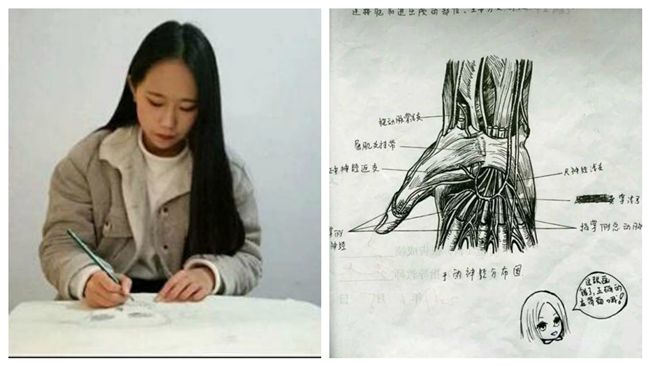 印刷品？正妹學霸手繪人體解剖圖爆紅