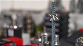 16:9
影／螺絲帽原來是遊樂器材？日藝術家讓你換個觀點看世界
圖／翻攝自tanaka_tatsuya IG
https://www.instagram.com/tanaka_tatsuya/