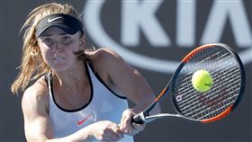 ▲Kerber（圖／美聯社／達志影像）