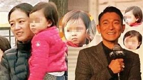 朱麗倩,劉德華（圖／翻攝自新浪娛樂微博）
