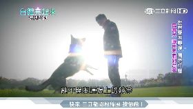 控放童回家1800.