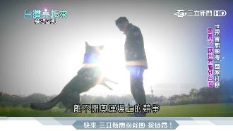訓犬界領頭羊！靠賽犬讓世界看到台灣
