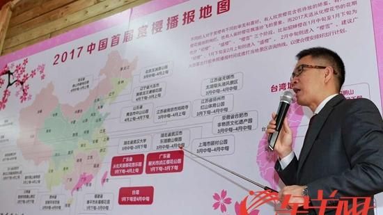 大陸播報櫻花花期　驚見台灣入列
