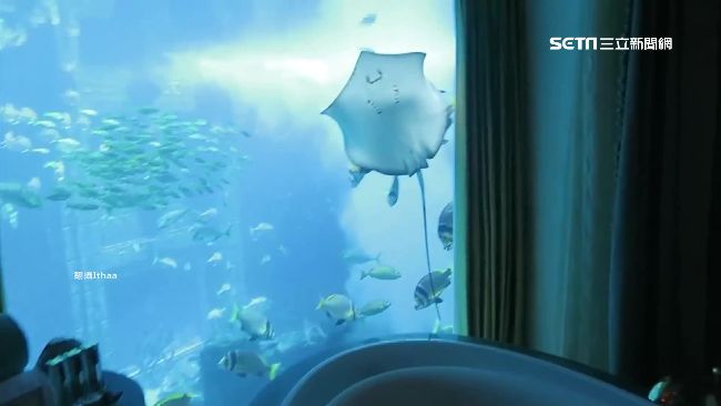 海中魚兒伴入眠！海底旅館一晚4萬4