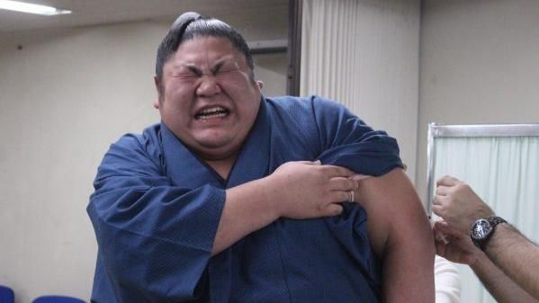 日本相撲力士超弱！竟然怕小小的…