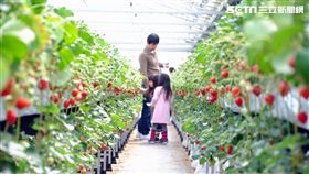 日本宮城縣南特色美食。（圖／VISIT東北提供）