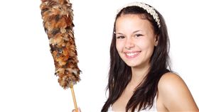 新年,春節,花卉,大掃除,傢俱,風水,桃花,梅花,茶花,君子蘭,開運竹,發財樹　圖／publicdomainpictures　https://goo.gl/6ZIuED