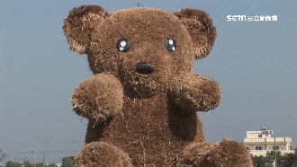 嘉義花海夯　「幸福熊」怕被遊客破壞