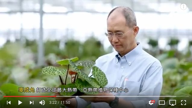 台泥董事會：張安平擔任代理董事長