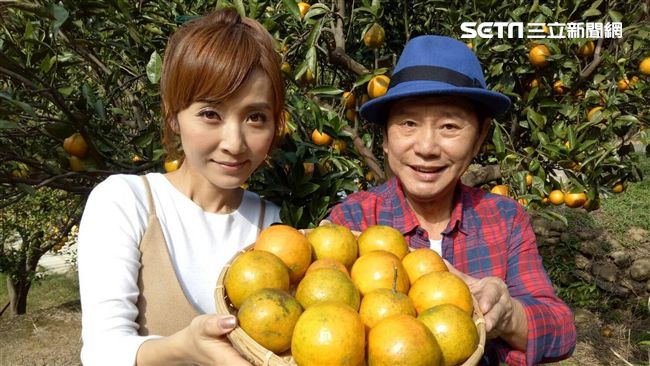客家地方采風！全台獨家海梨酥