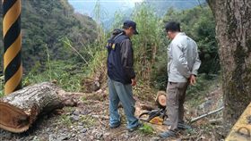 盜伐太專心　男當場遭逮（2）
內政部警政署保安警察第七總隊第五大隊22日表示，21
日下午於桃園市復興區巡邏時，竟發現一名男子（右）
手持鏈鋸「專注」裁鋸國有樟木，當場將他逮捕。
（保七警提供）
中央社記者魯鋼駿傳真　106年1月22日