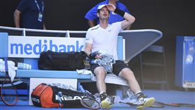 ▲Andy Murray遭爆冷淘汰（圖／美聯社／達志影像）