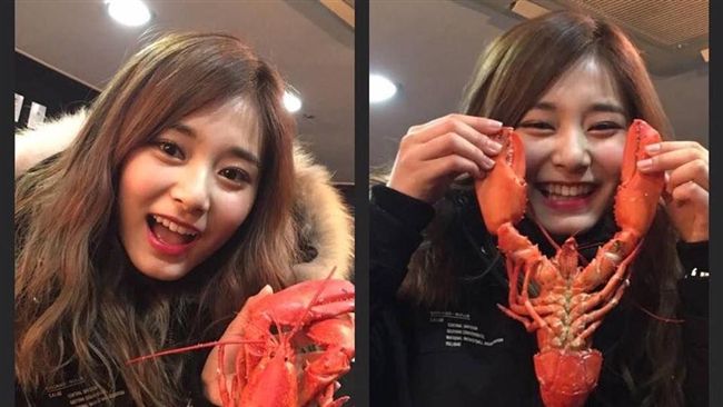 周子瑜貼心中文謝粉絲　合影龍蝦萌翻