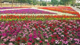 花在彰化,花海,花卉,雞年,新年,春節,走春,花,賞花,美景,好玩,園藝,種植,免費-翻攝自活動官網