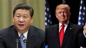 川普、習近平／臉書、微博