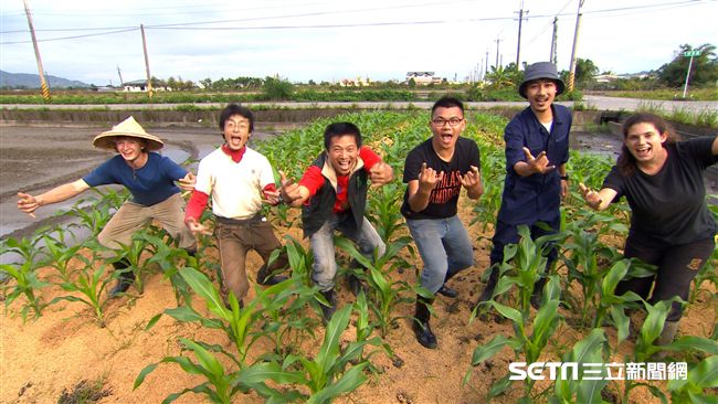 後宮失傳補品現身　太極熊貓豆在宜蘭