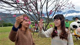 初鹿牧場福袋　贈1甲地當1年農夫
迎新春，台東縣初鹿牧場福袋將於27日除夕開賣，最大
獎是當1甲地的主人1年，非常歡迎中獎民眾到台東當個
快樂農夫。
中央社記者盧太城台東攝