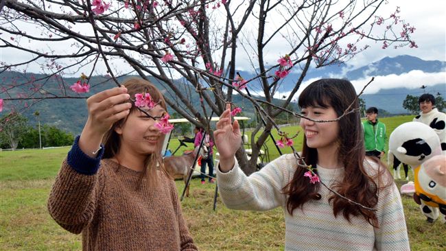 一定要送！初鹿牧場送1甲地1年農夫