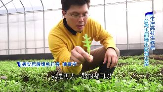 就是高一人等！歐洲主廚瘋台灣芝麻葉