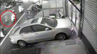 「菜籃推車」過馬路　竟然還會停看聽