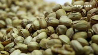 年貨大街最後促銷　開心果登熱賣王