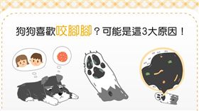 名家_毛起來_狗狗咬腳