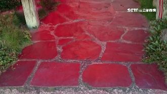 疑作證被報復　這家人連被潑漆潑硫酸