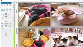 喵喵屋貓咪旅館 Synology Surveillance Station NAS