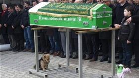 西薩在主人棺木前哀悼。（圖／翻攝自Ali Ilhan臉書）