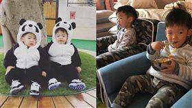 飛飛翔翔（圖／翻攝自范瑋琪臉書）