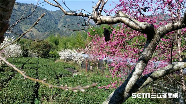 初三變天「回冬」　高溫僅剩18度