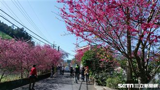 春節連假天氣出爐！這兩天最適合走春