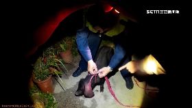 ev警察抓野豬1100