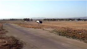 以色列,汽車,飛行,飛行車　圖／翻攝自YouTube