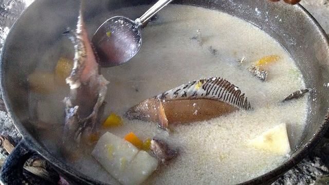 魚湯越濃越營養？小心脂肪含量過高