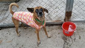 圖／翻攝自王露露臉書 https://www.facebook.com/photo.php?fbid=1312175065516979&set=a.305336146200881.74984.100001734944424&type=3&theater