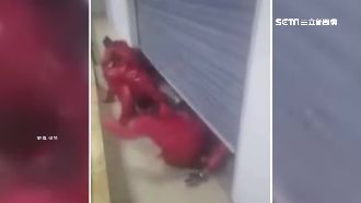 屍速列車翻版？遊客搶票鑽鐵門如喪屍