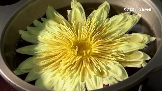 吃膩大魚大肉？蓮花鍋清爽補充蛋白質