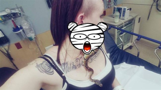 球蟒鑽耳洞卡住　女子嚇壞求助消防隊
