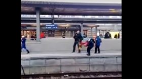 警犬,鐵軌/ MrStarkstrom2001 YouTube