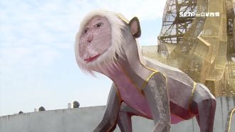 捲土重來！「土撥鼠」花燈改名再登場