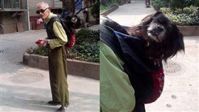 中國大陸,雲南省,老翁,愛犬,狗（圖／翻攝自雲南網）