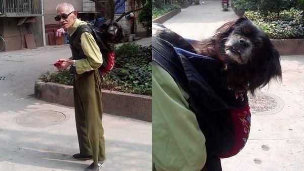 愛犬年邁癱瘓　老翁每天背牠一起散步