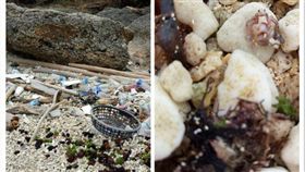 琉球,小琉球,沙攤,港口,海,礁岸,油汙,垃圾,拇指,寄居蟹,鄉村,BOT,保護　圖／Dcardhttps://goo.gl/9vLdbH