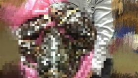 龍蝦　爆料公社